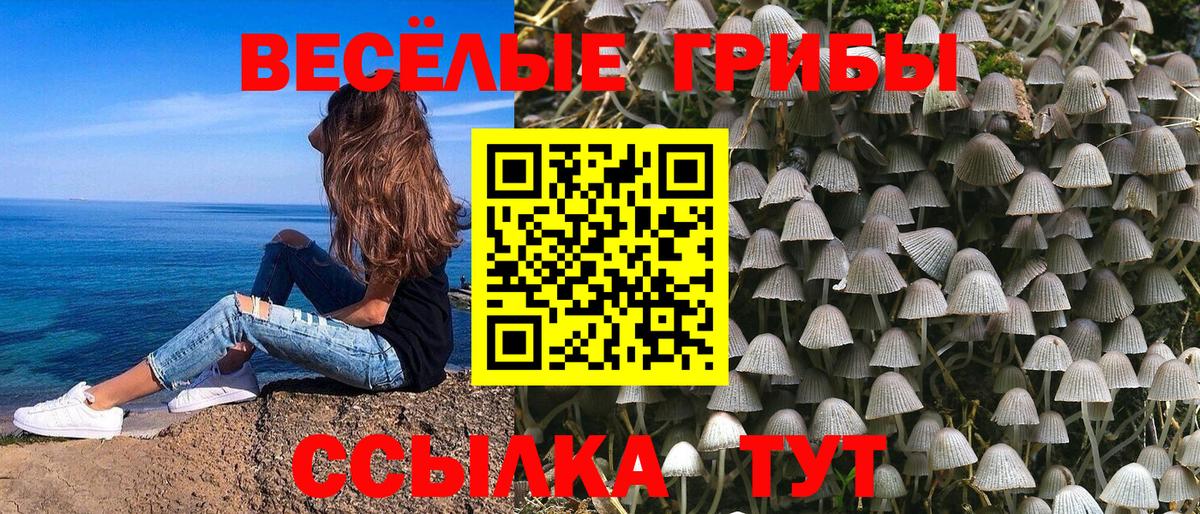 Янаул  Галлюциногенные грибы Psilocybine cubensis  Вход с VPN 